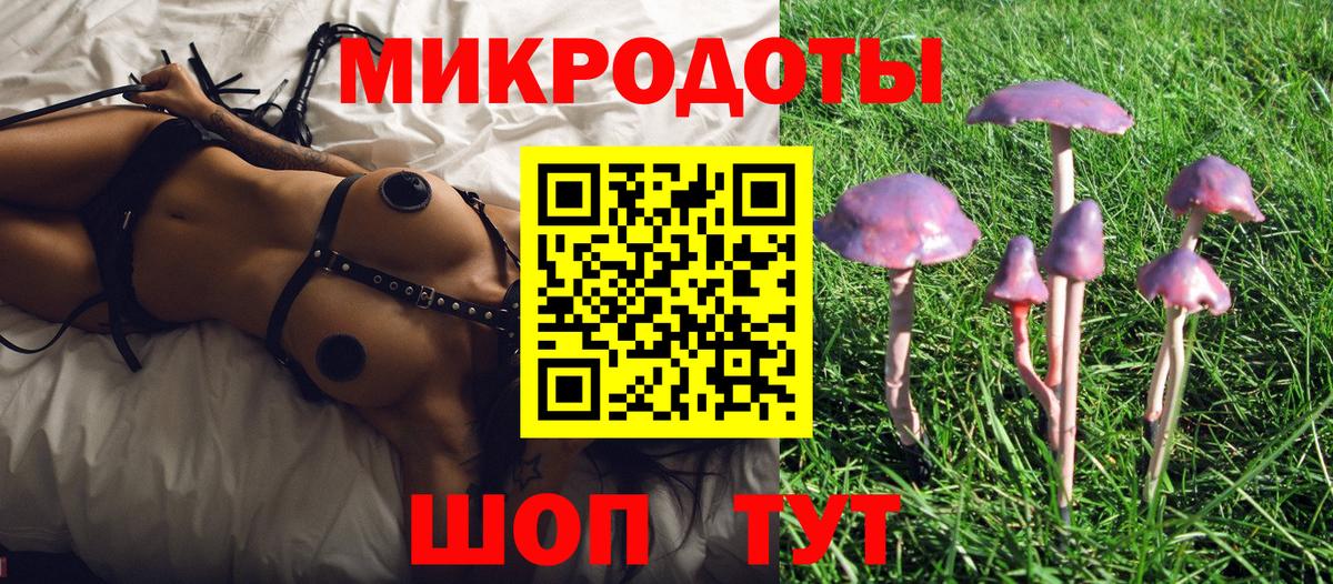 Галлюциногенные грибы прущие грибы Ефремов